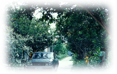 gy3.JPG (41342 bytes)