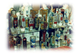 jytp11.JPG (26208 bytes)