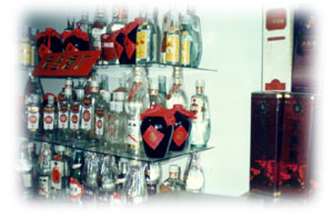 jytp14.JPG (23938 bytes)