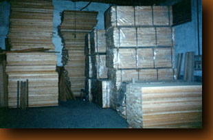 mn2.JPG (22284 bytes)