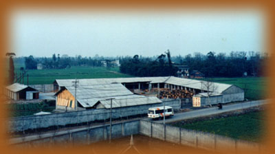 rhmntp11.JPG (24604 bytes)